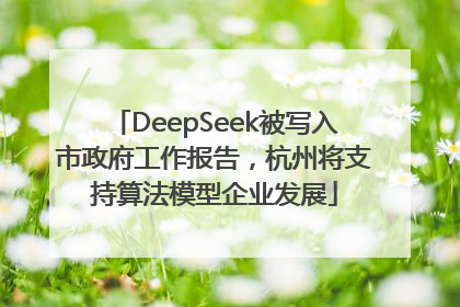 DeepSeek被写入市政府工作报告，杭州将支持算法模型企业发展