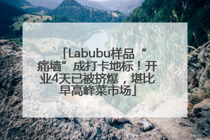 Labubu样品“痛墙”成打卡地标！开业4天已被挤爆，堪比早高峰菜市场