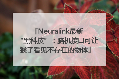 Neuralink最新“黑科技”：脑机接口可让猴子看见不存在的物体