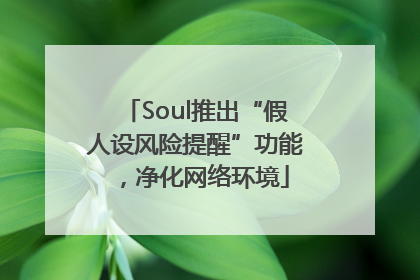 Soul推出“假人设风险提醒”功能，净化网络环境
