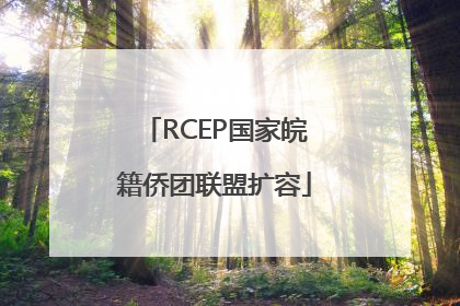 RCEP国家皖籍侨团联盟扩容