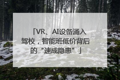 VR、AI设备涌入驾校，智能班低价背后的“速成隐患”
